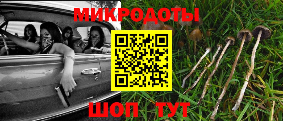 Псилоцибиновые грибы ЛСД  сколько стоит  Всеволожск  Вход с VPN  Галлюциногенные грибы Psilocybine cubensis 